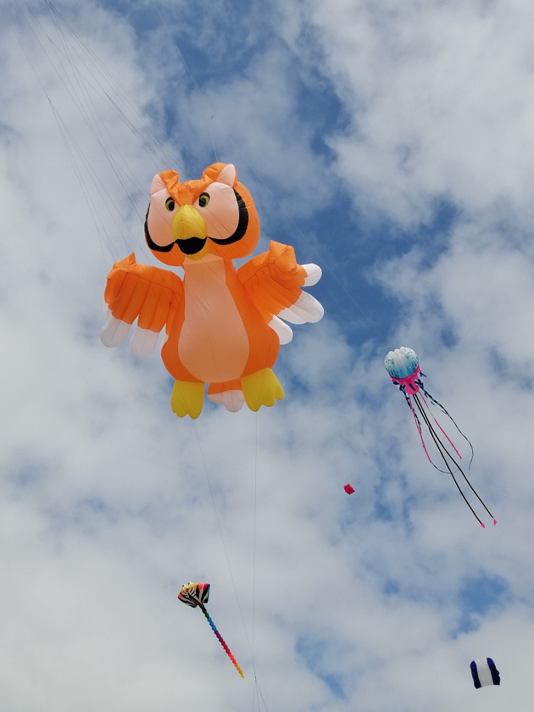 IMG_20230719_173654.jpg