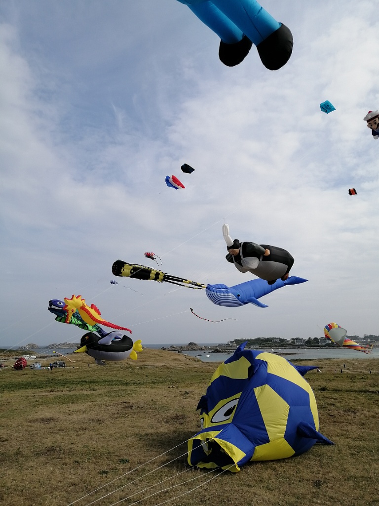 IMG_20230722_104313.jpg