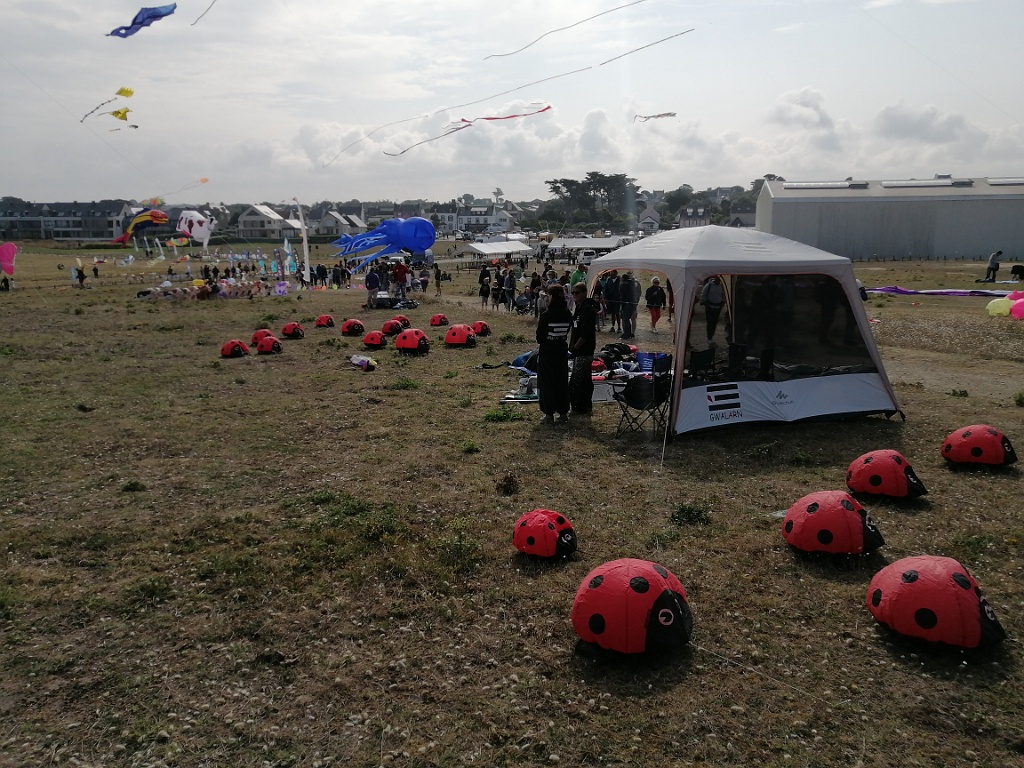 IMG_20230722_104556.jpg