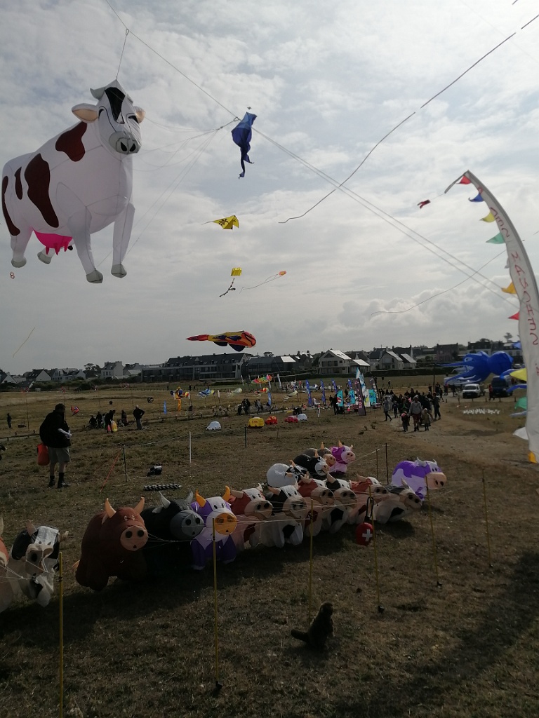 IMG_20230722_104704.jpg