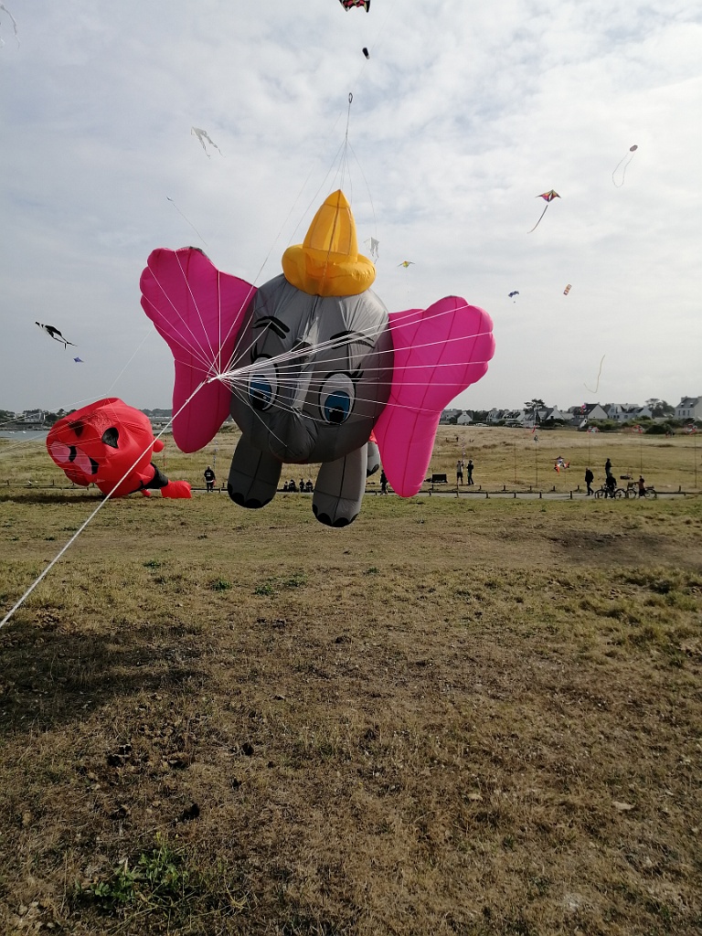 IMG_20230722_104717.jpg