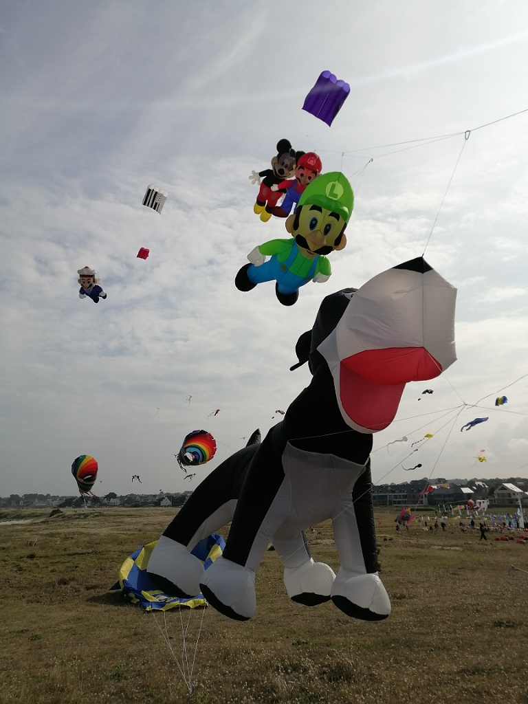 IMG_20230722_104841.jpg