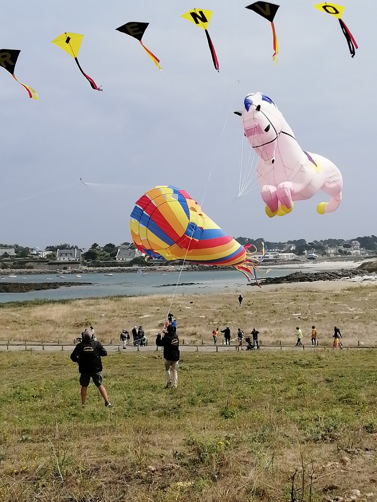 IMG_20230722_112944.jpg