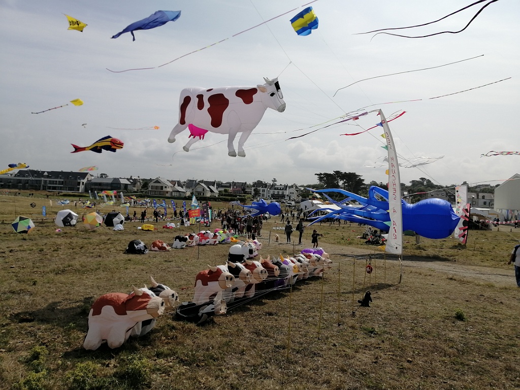 IMG_20230722_120919.jpg