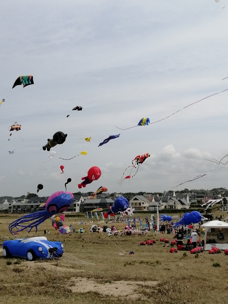 IMG_20230722_130113.jpg
