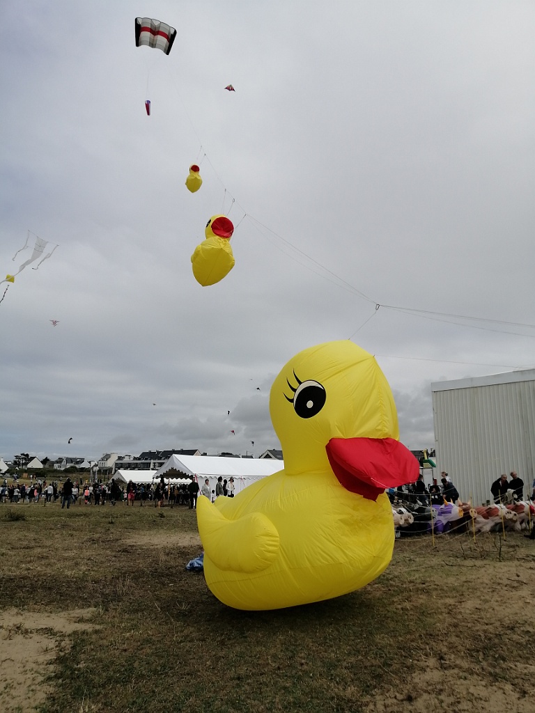 IMG_20230723_153648.jpg
